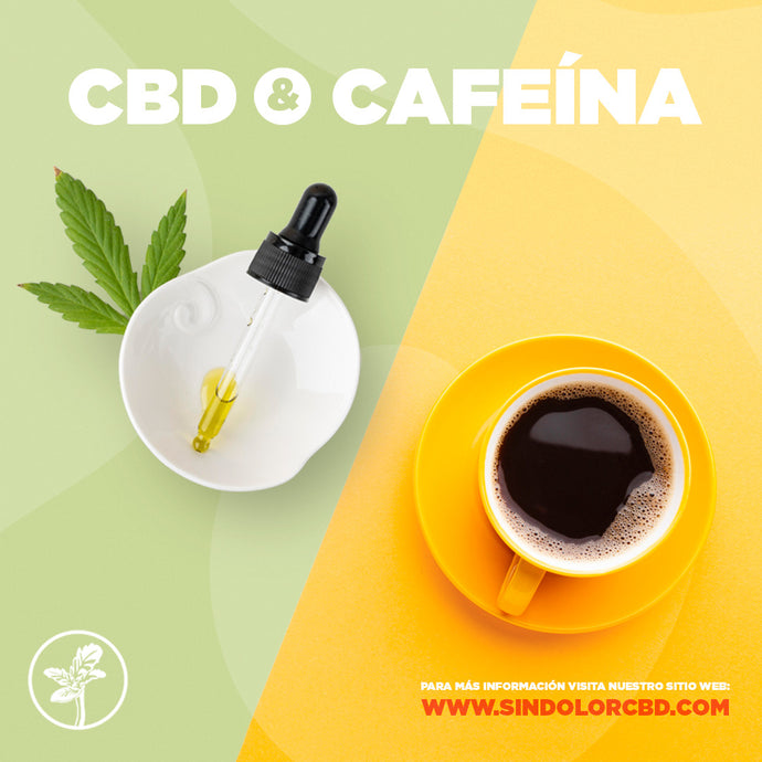 CBD & Cafeína