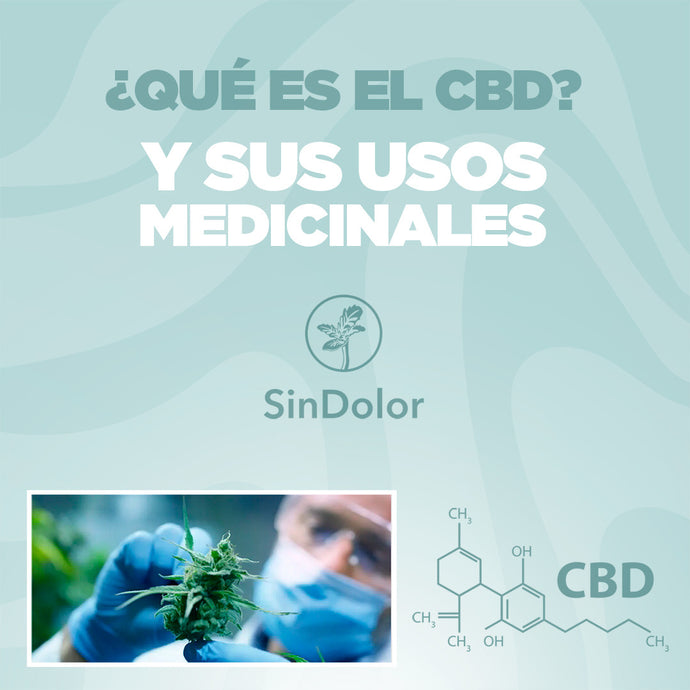 ¿Qué es el CBD? y sus más de 20 usos medicinales en la actualidad